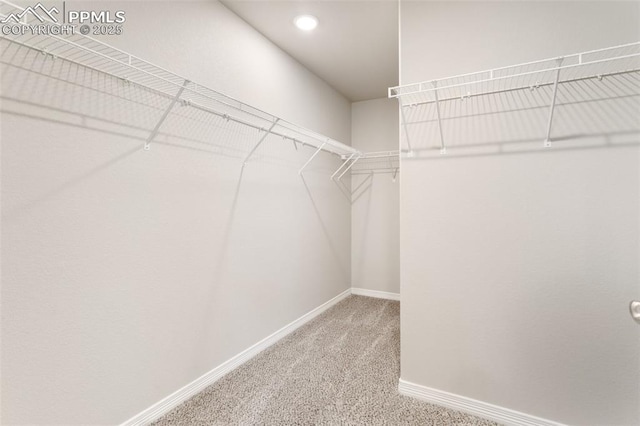 spacious closet with carpet