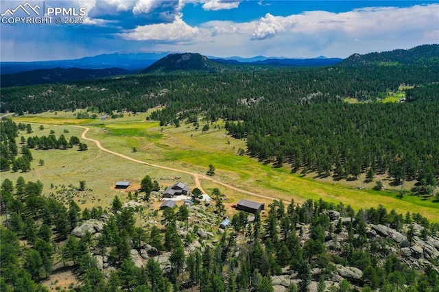 birds eye view of property with a mountain view and a view of trees