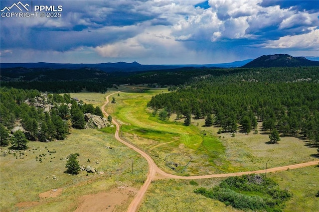 birds eye view of property featuring a forest view and a mountain view