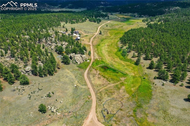 birds eye view of property featuring a wooded view