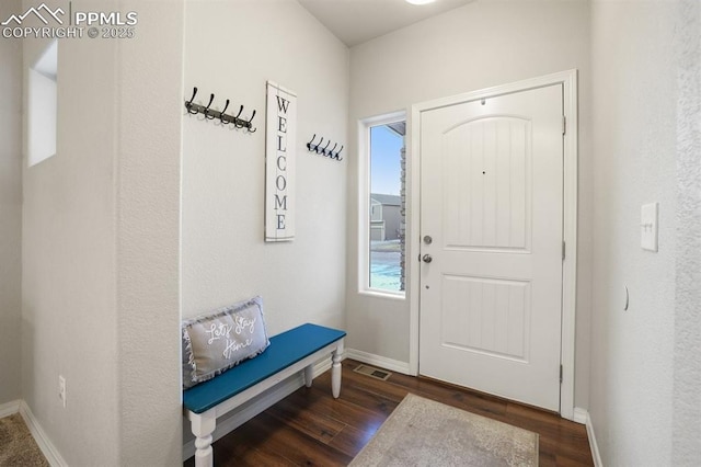 entrance foyer featuring dark hardwood / wood-style flooring