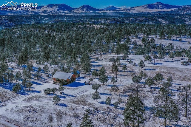 drone / aerial view with a mountain view