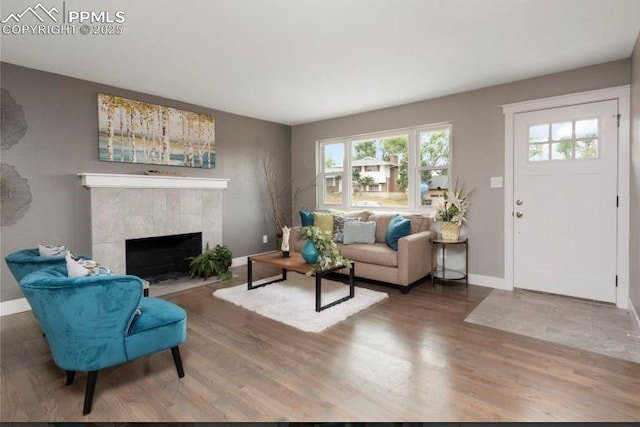 living room featuring a fireplace and hardwood / wood-style floors