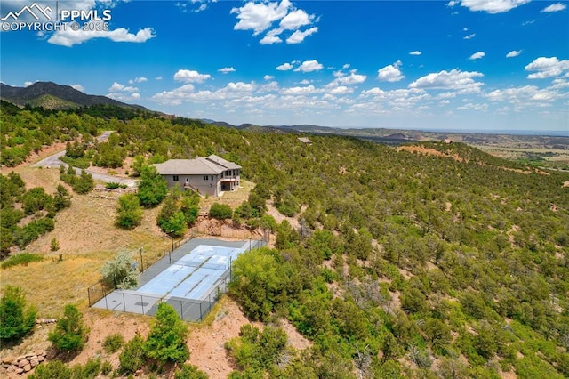 birds eye view of property featuring a mountain view