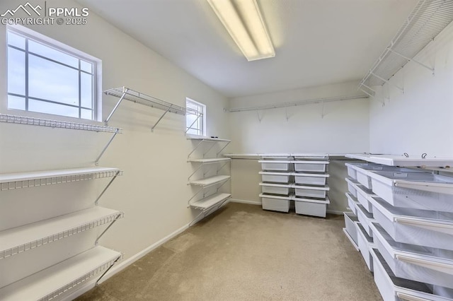 spacious closet with light carpet