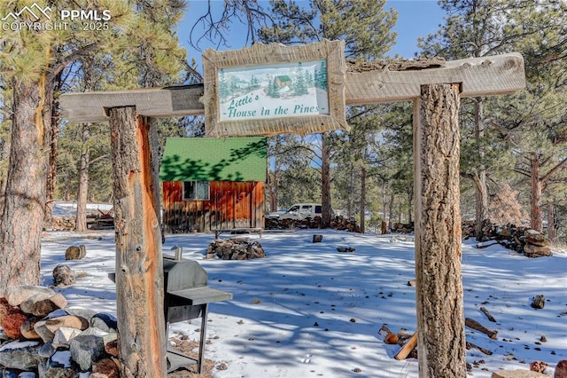 13264 Teller County Rd, Florissant, CO 80816 - view of yard covered in snow