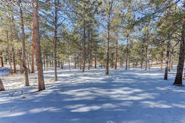 13264 Teller County Rd, Florissant, CO 80816 - view of yard covered in snow