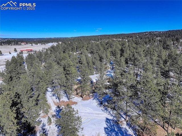 13264 Teller County Rd, Florissant, CO 80816 - aerial view