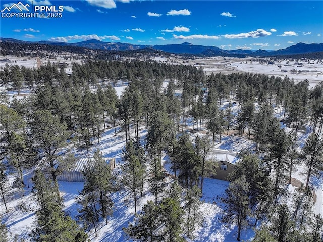 13264 Teller County Rd, Florissant, CO 80816 - snowy aerial view with a mountain view