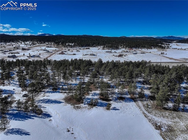 13264 Teller County Rd, Florissant, CO 80816 - property view of mountains