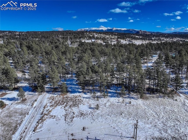 13264 Teller County Rd, Florissant, CO 80816 - mountain view