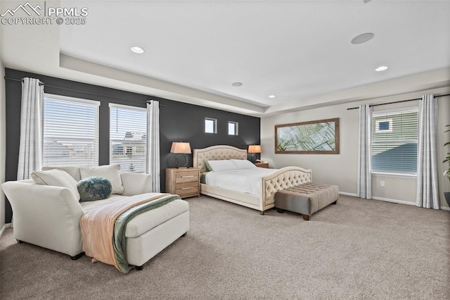 bedroom featuring a raised ceiling and carpet flooring