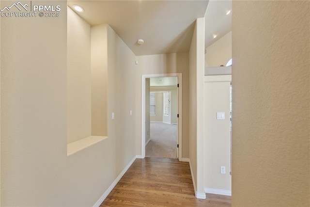 hallway featuring wood-type flooring