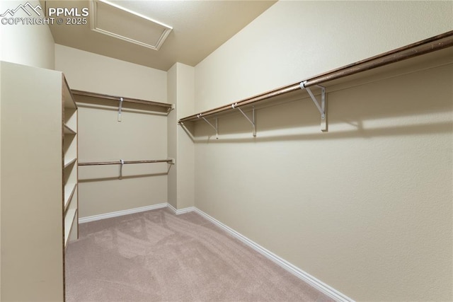 spacious closet featuring light carpet