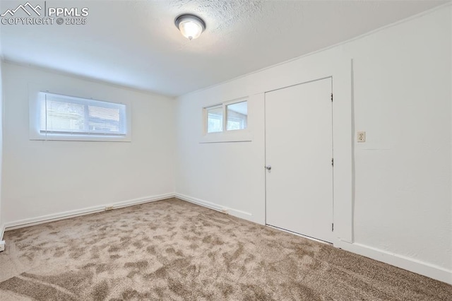 empty room with a wealth of natural light and carpet floors