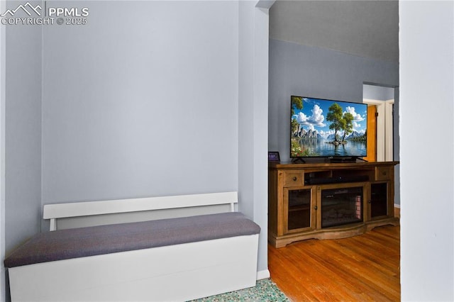 stairway with hardwood / wood-style flooring