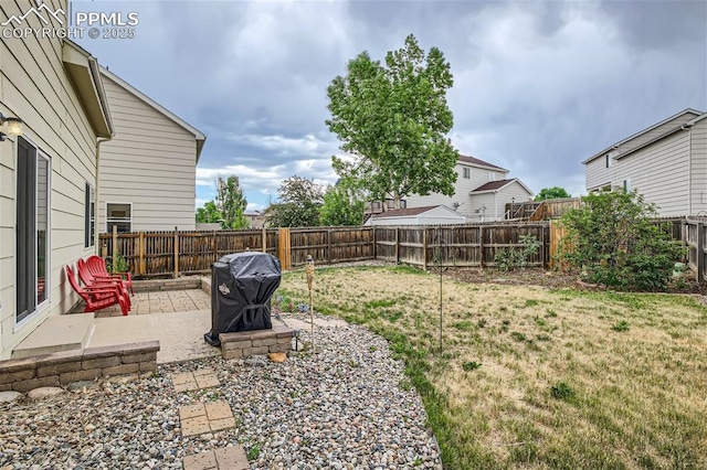 view of yard featuring a patio area