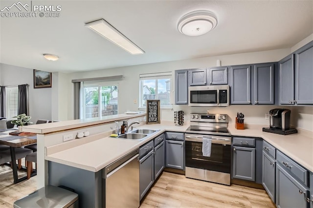 kitchen featuring gray cabinetry, sink, kitchen peninsula, and stainless steel appliances