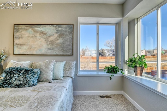 view of carpeted bedroom