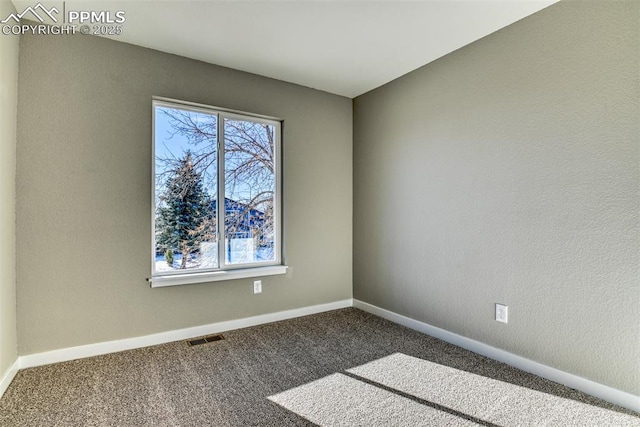 spare room featuring carpet floors