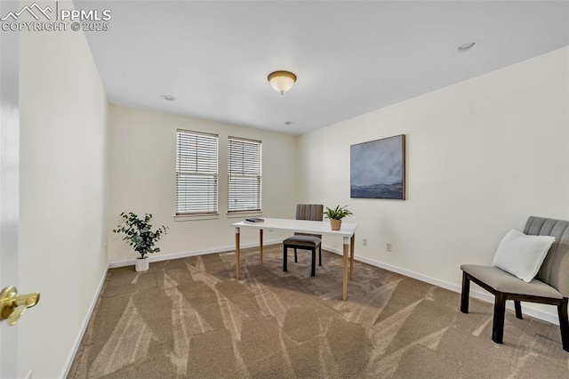 view of carpeted home office