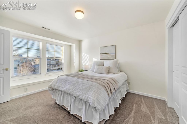 bedroom with carpet flooring and a closet