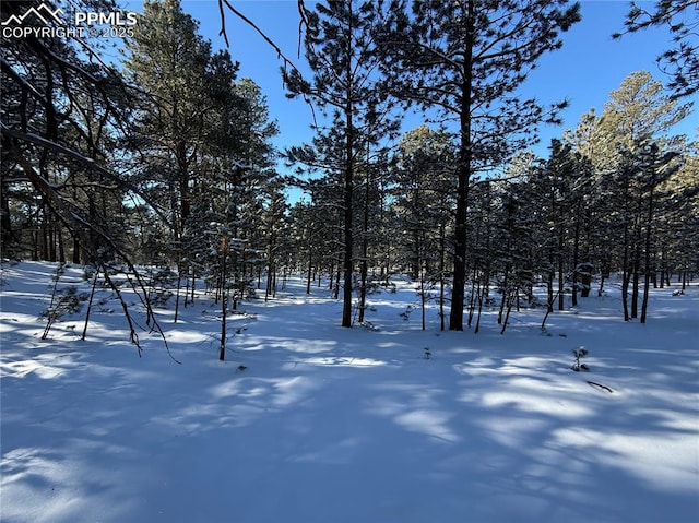 8235 Bar X Ter, Colorado Springs CO, 80908 land for sale