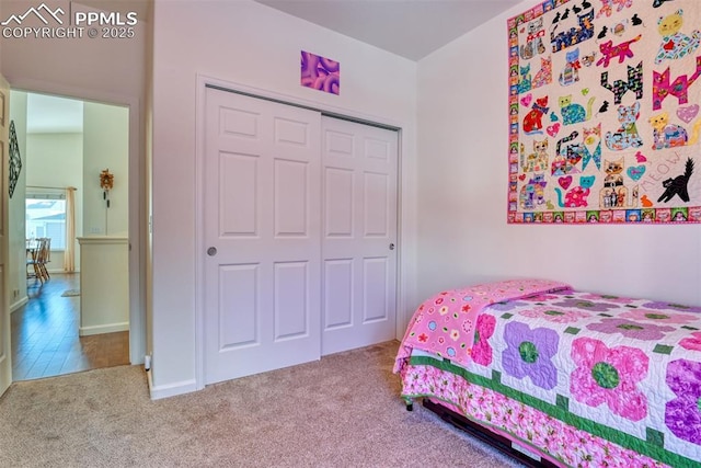 carpeted bedroom featuring a closet