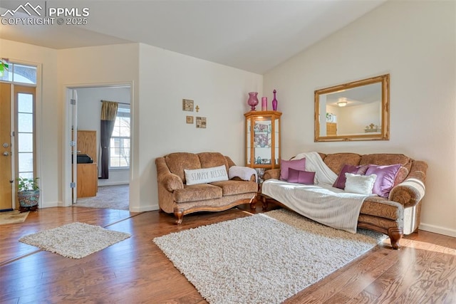 living room featuring vaulted ceiling and wood-type flooring