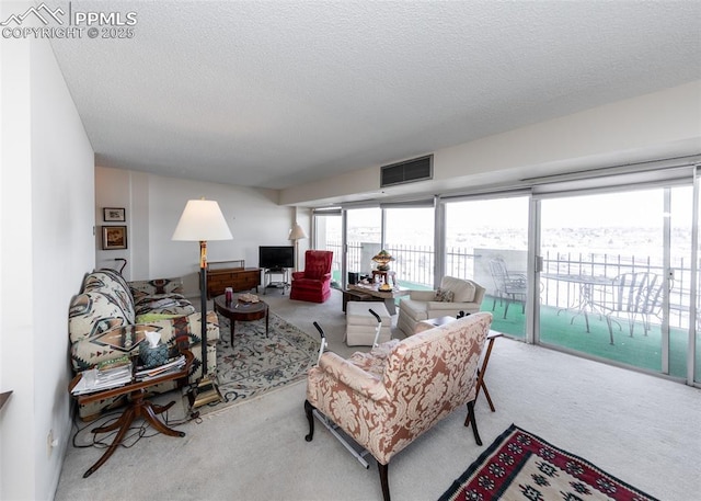 living room featuring a textured ceiling