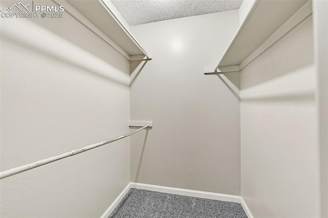 spacious closet with carpet floors