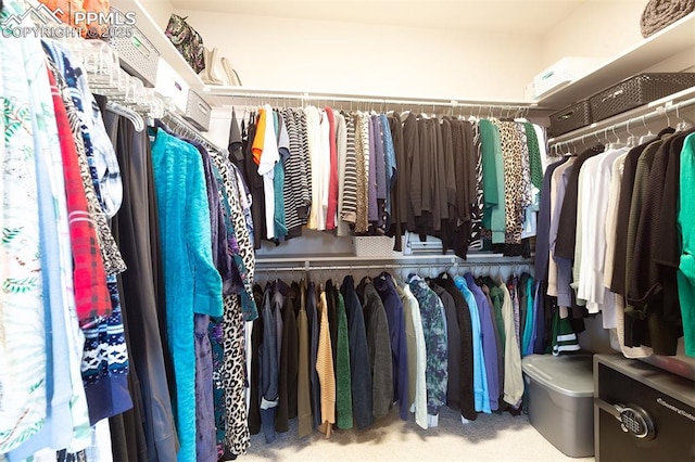 spacious closet featuring carpet floors