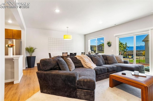 living room with light hardwood / wood-style floors