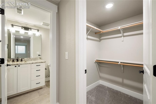 spacious closet with sink and light carpet