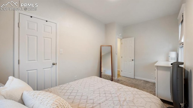 bedroom featuring baseboards and carpet floors