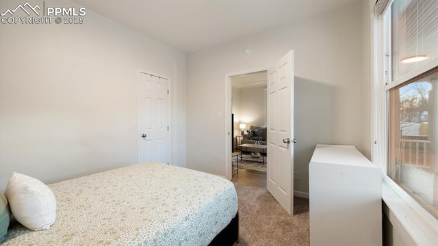 view of carpeted bedroom