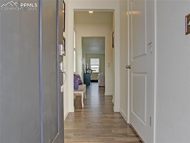 hall featuring dark wood-type flooring