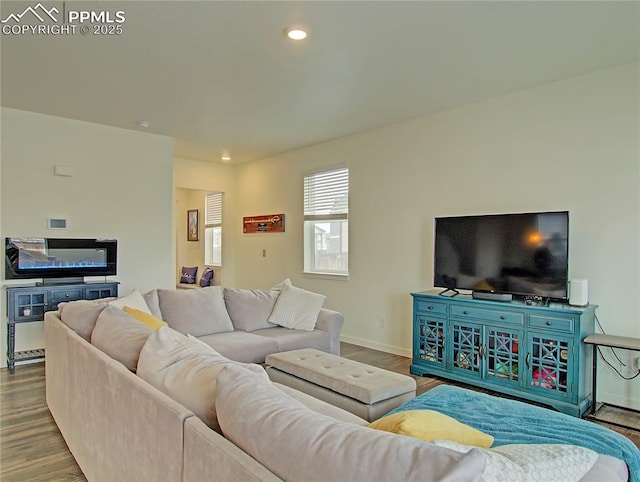 living room with hardwood / wood-style floors