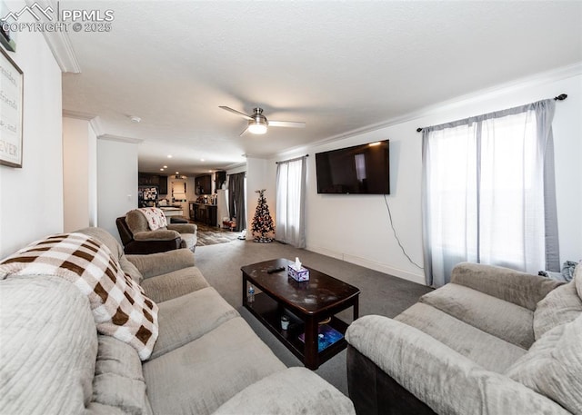 carpeted living room with ceiling fan and ornamental molding