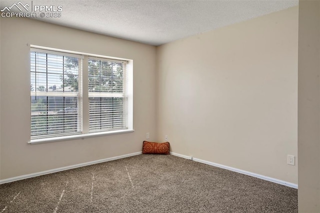 unfurnished room featuring carpet flooring and a textured ceiling