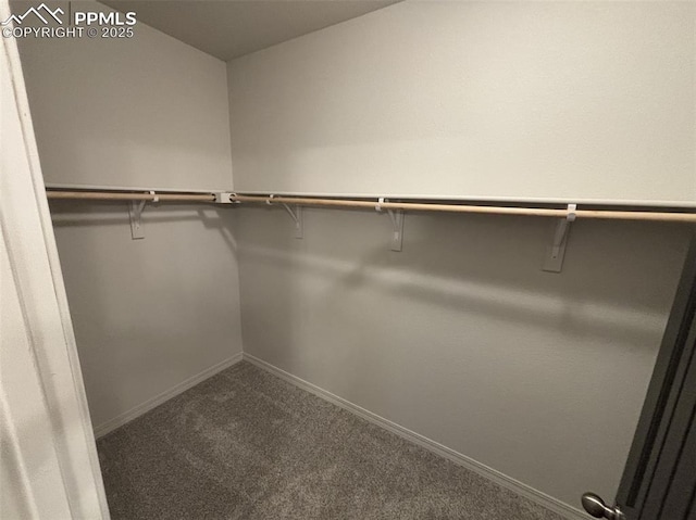 spacious closet with carpet flooring