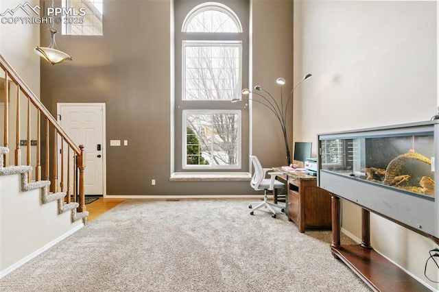 carpeted office with a towering ceiling and plenty of natural light