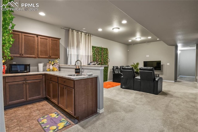 kitchen featuring light colored carpet and sink