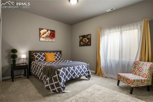 bedroom featuring carpet flooring