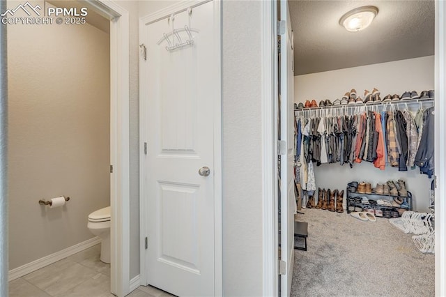 walk in closet with light carpet