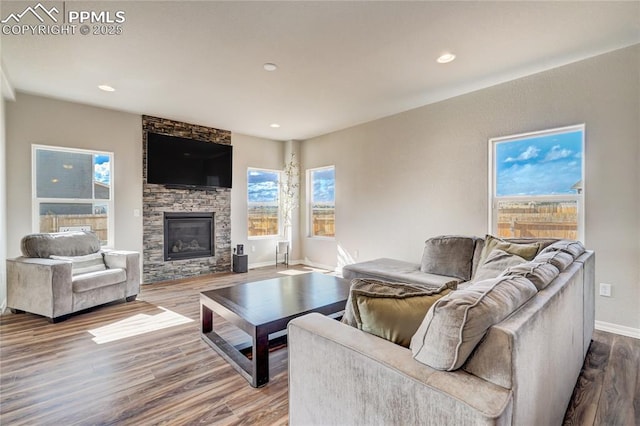 living room with a fireplace and hardwood / wood-style flooring