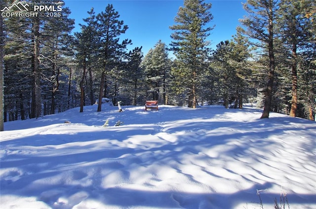 view of yard layered in snow