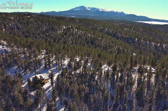 aerial view with a mountain view