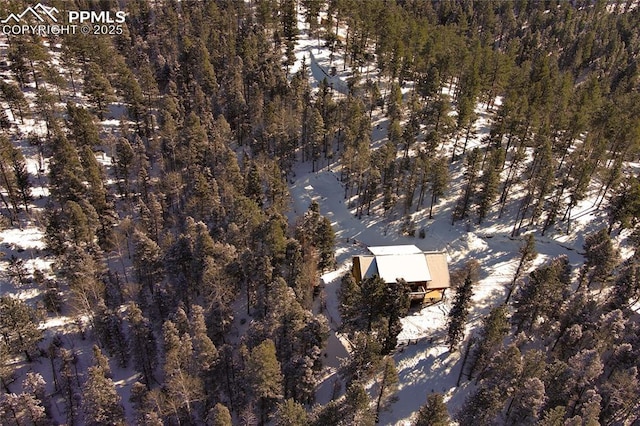 view of snowy aerial view