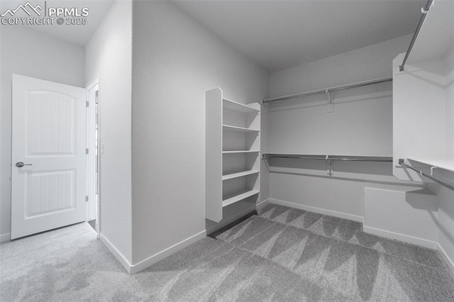 spacious closet with carpet